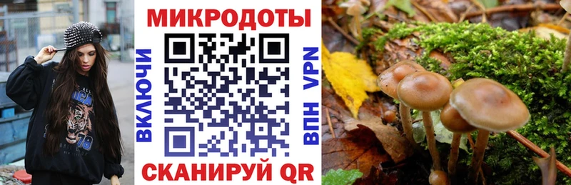 KRAKEN Отрадная Галлюциногенные грибы Psilocybine cubensis как найти наркотики